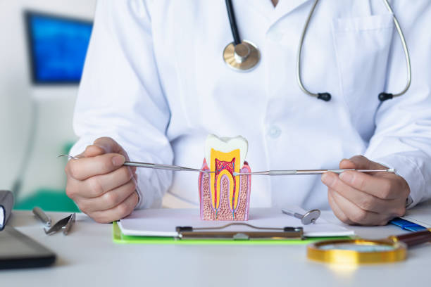 Best Emergency Denture Repair in Inverness, IL